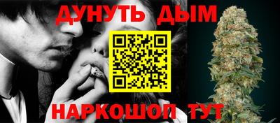 apvp Гатчина
