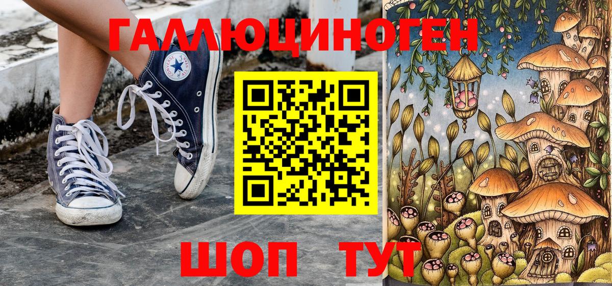 Псилоцибиновые грибы мицелий Лесосибирск