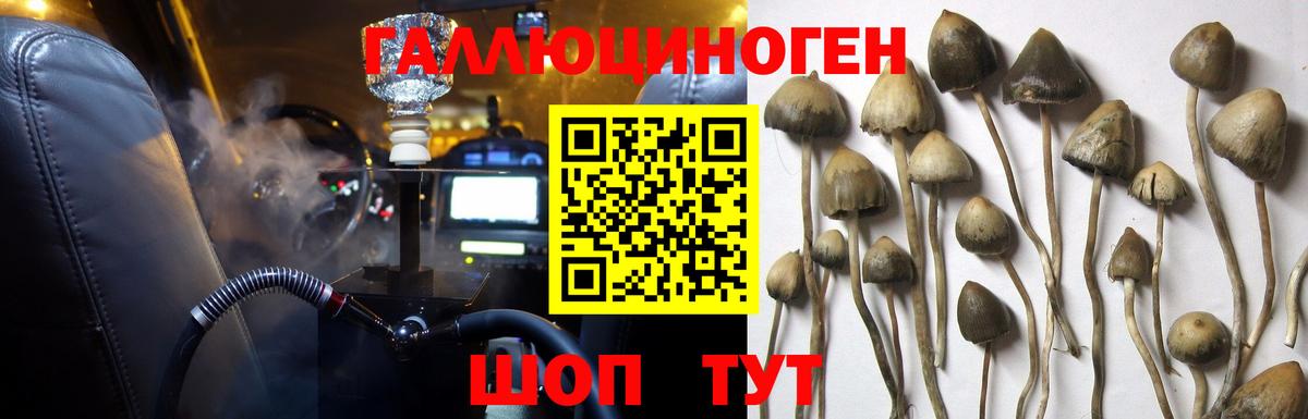 Лесосибирск  Псилоцибиновые грибы Magic Shrooms  Вход с VPN 